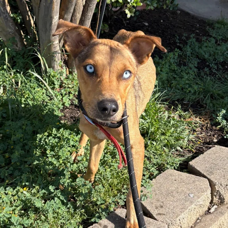 Xander D thumbnail 2