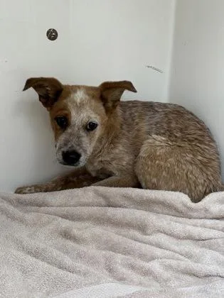 60724896 thumbnail 2