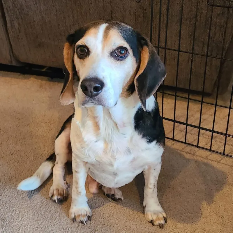 Jack