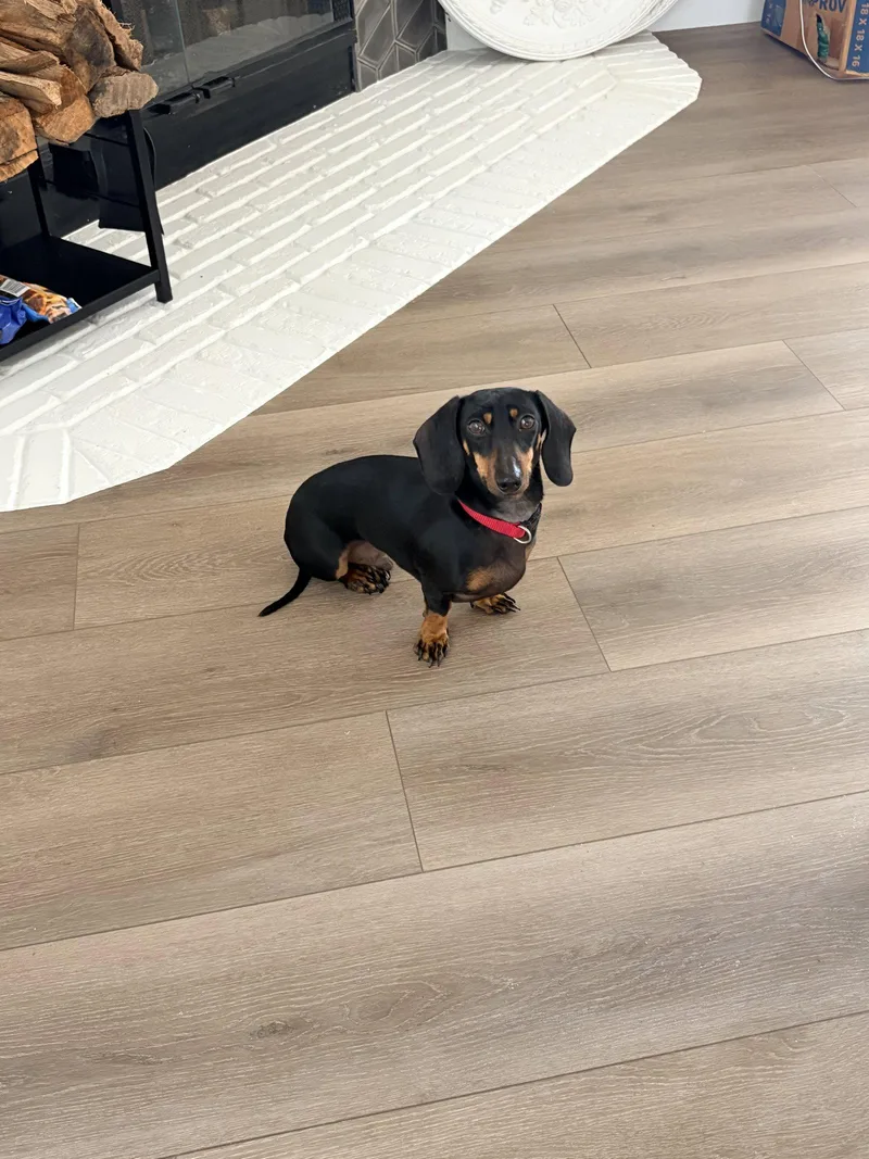 Max