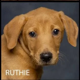Ruthie thumbnail 2