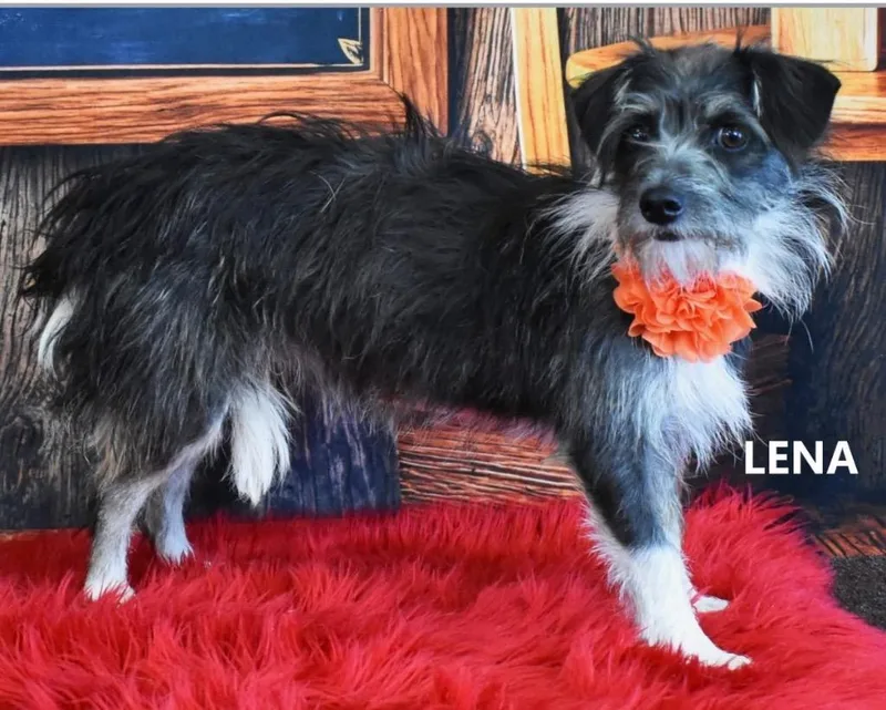 Lena