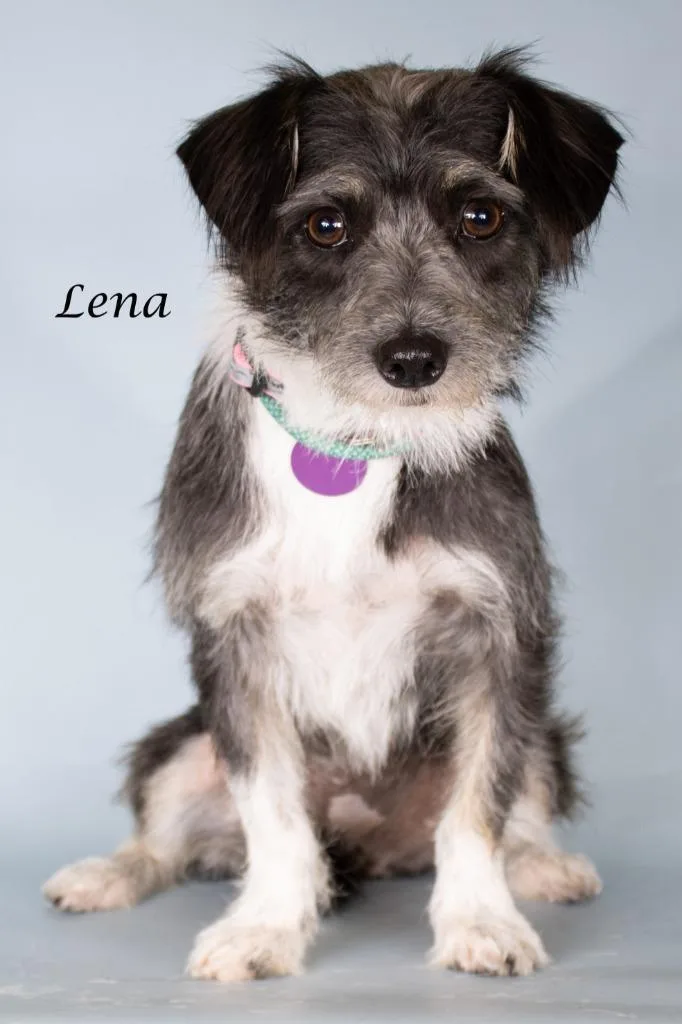 Lena thumbnail 2