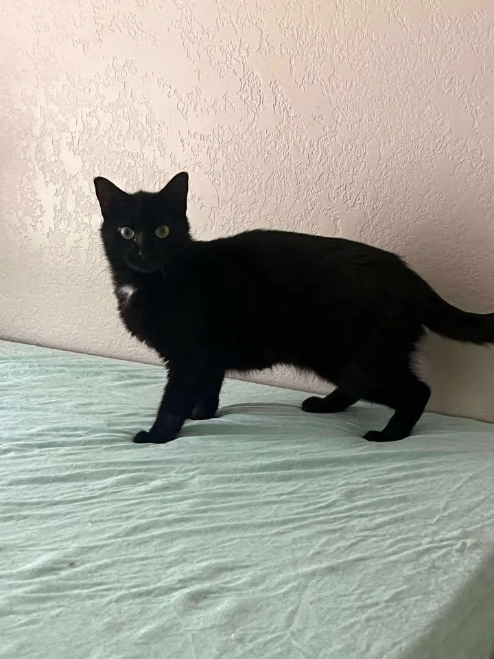 Caroline thumbnail 3