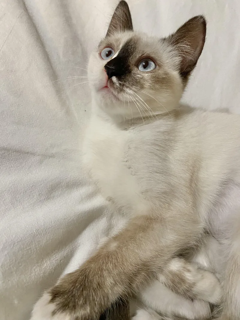 Beverly