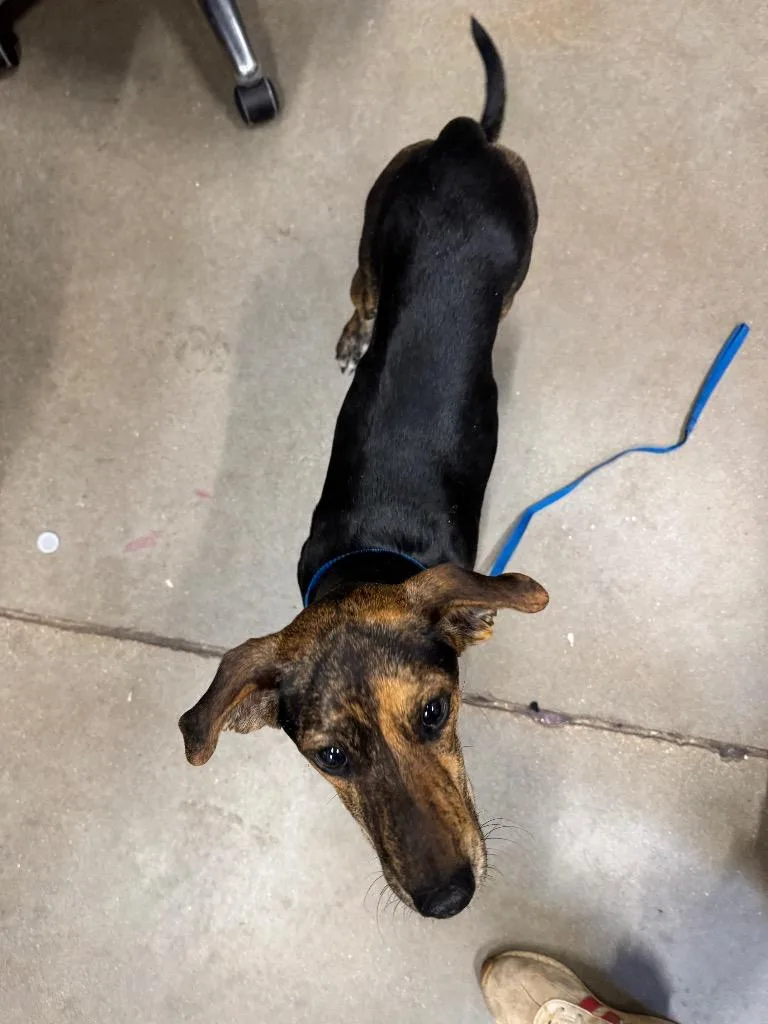 Mercedes thumbnail 2