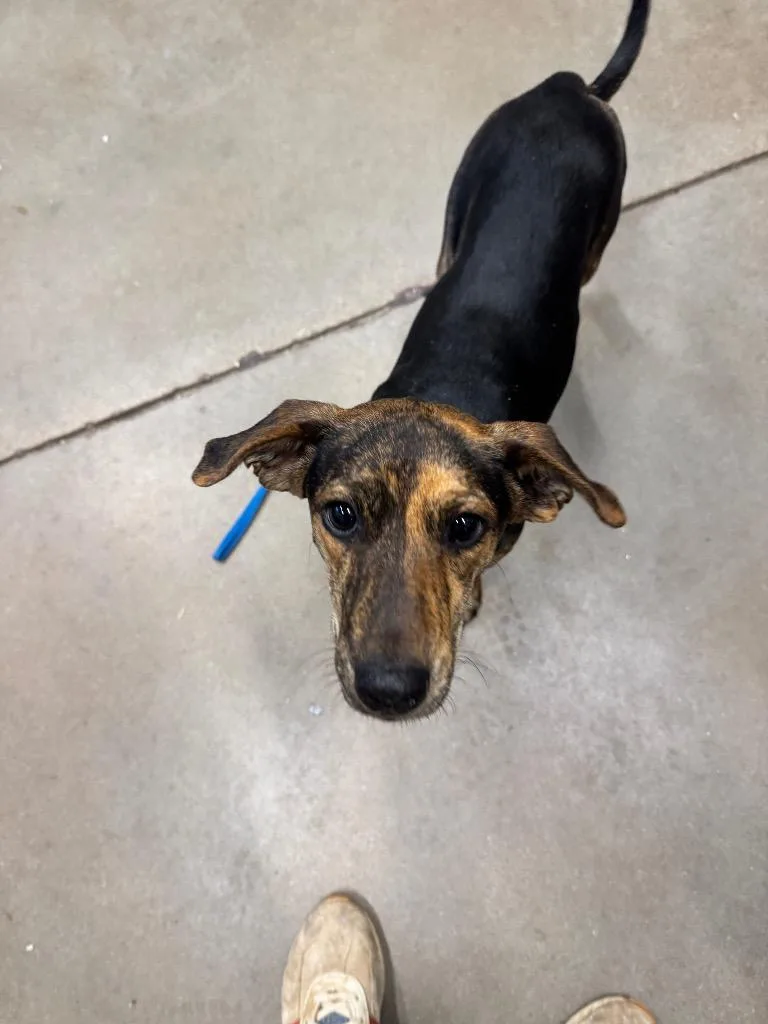 Mercedes thumbnail 3