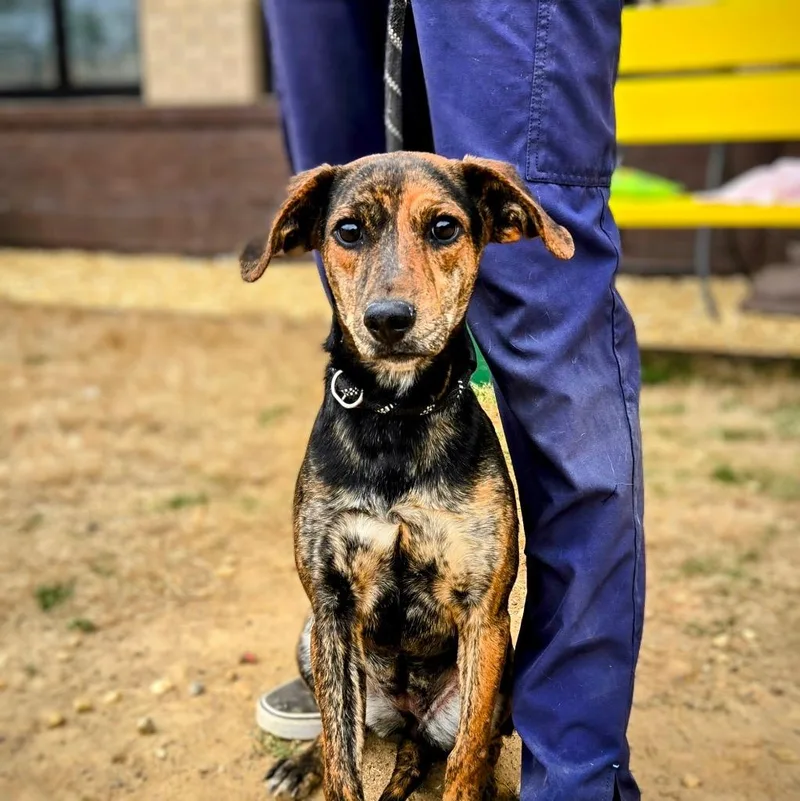 Mercedes thumbnail 4