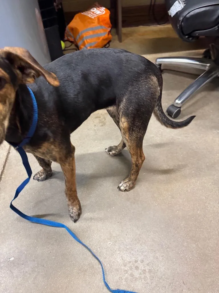 Mercedes thumbnail 5