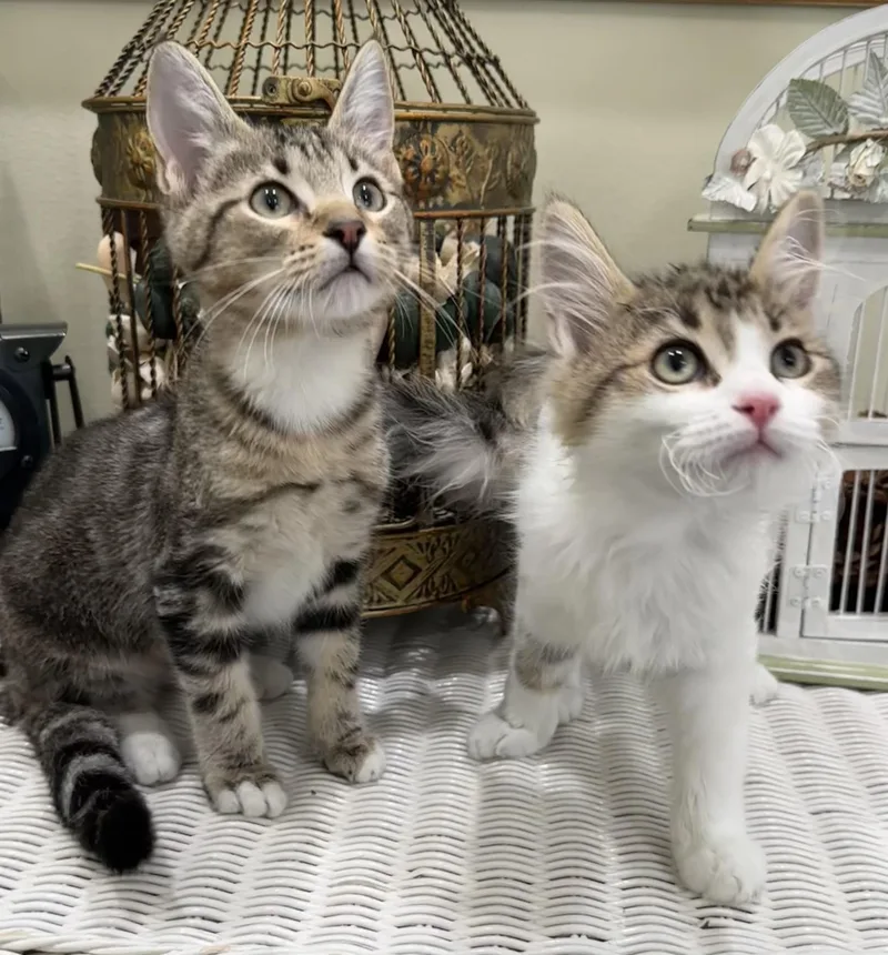 Jenny & Janie thumbnail 3