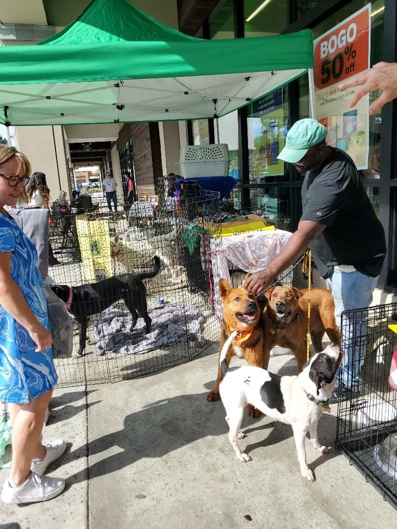 Darwinian Darwin  The thumbnail 4