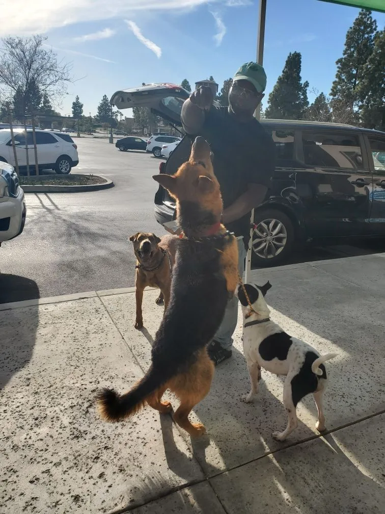 Darwinian Darwin  The thumbnail 5