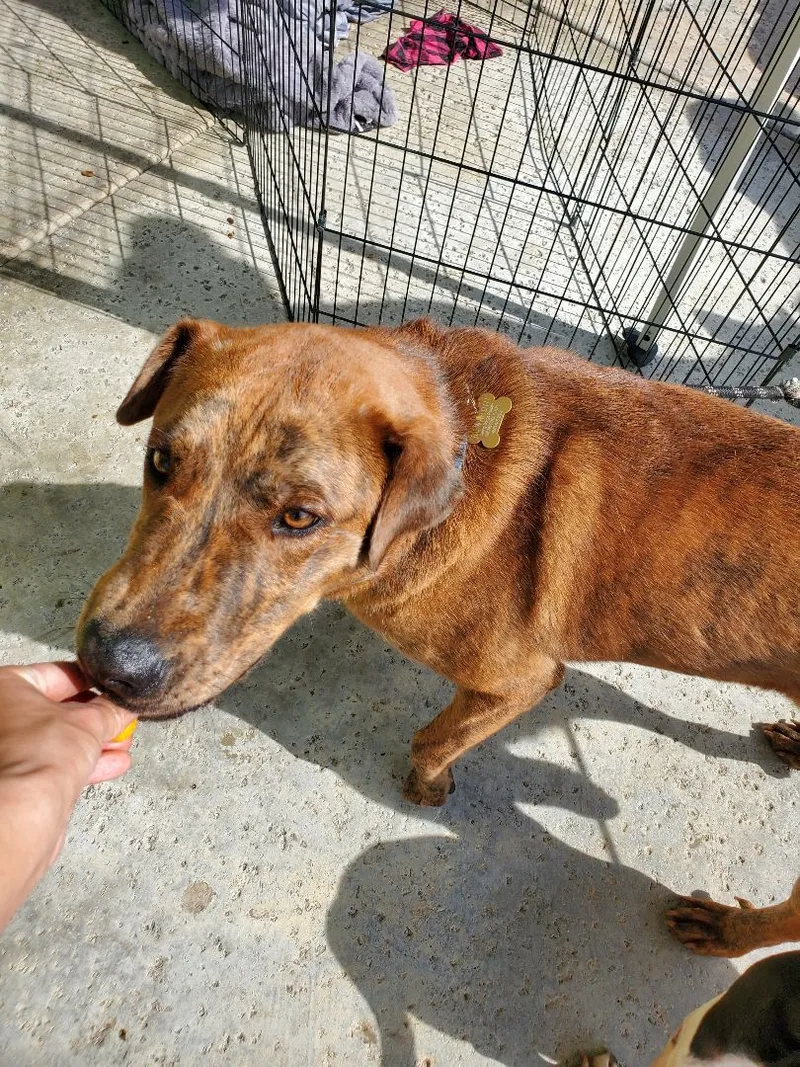 Darwinian Darwin  The thumbnail 6