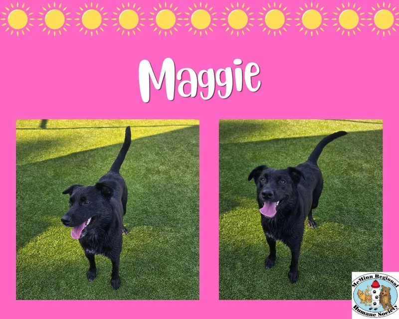 Maggie thumbnail 2