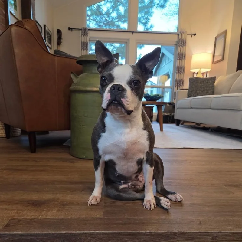 Suzie In Ne thumbnail 2