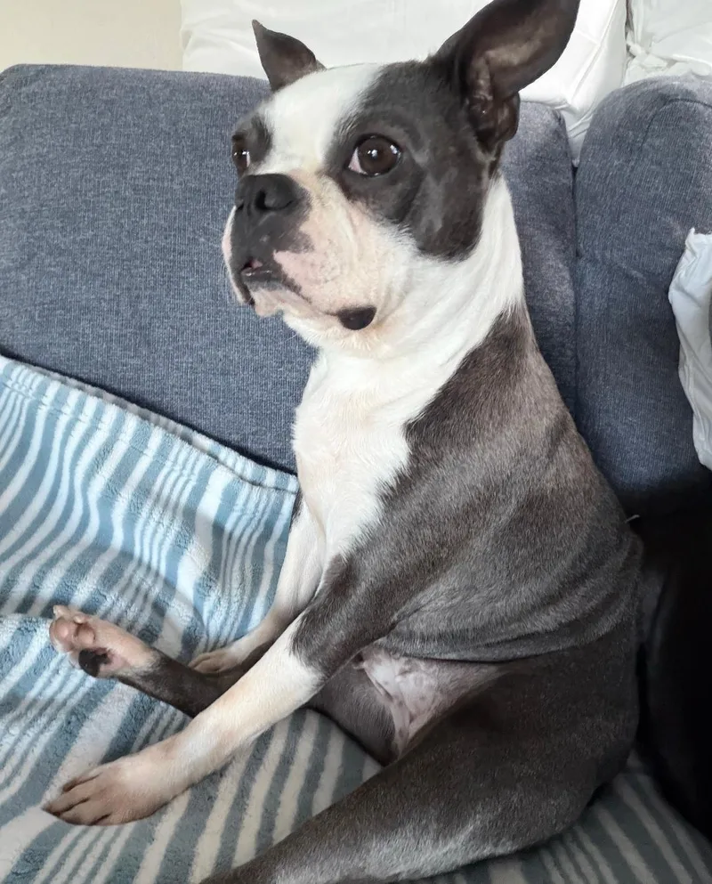 Suzie In Ne thumbnail 3