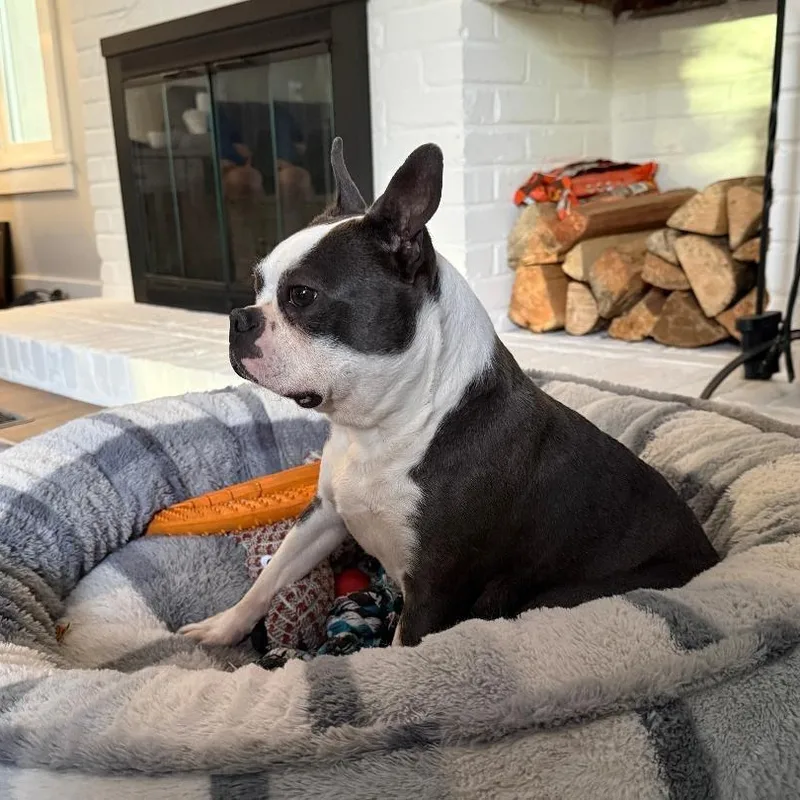 Suzie In Ne thumbnail 4