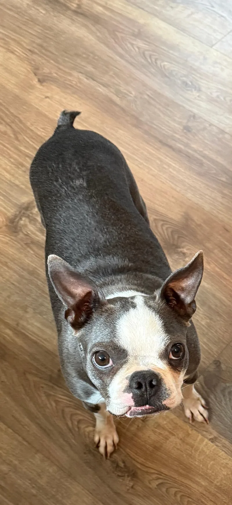 Suzie In Ne thumbnail 5