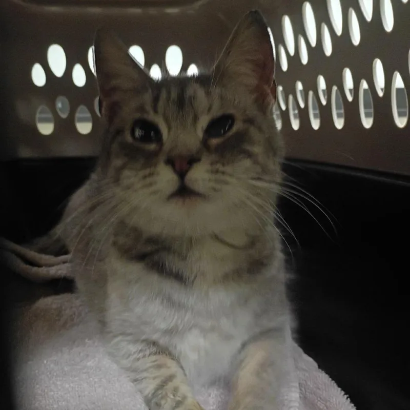 Lauryn Hill thumbnail 2