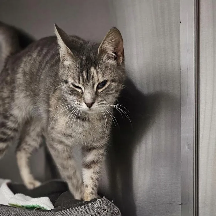 Lauryn Hill thumbnail 3