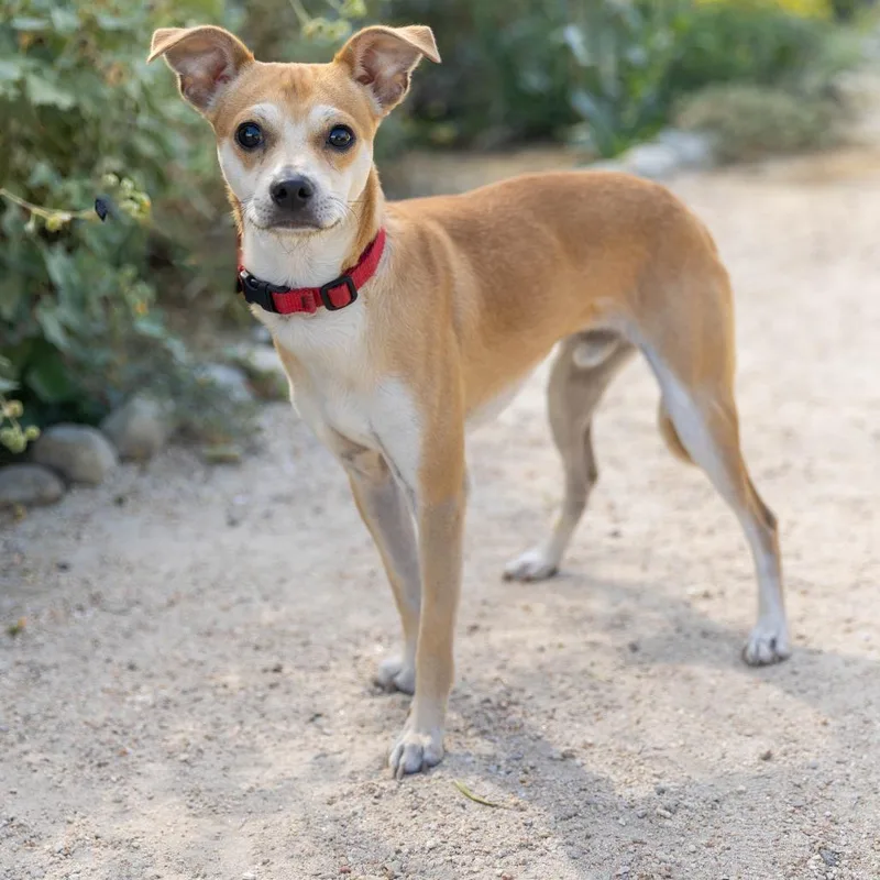 Sullivan thumbnail 2