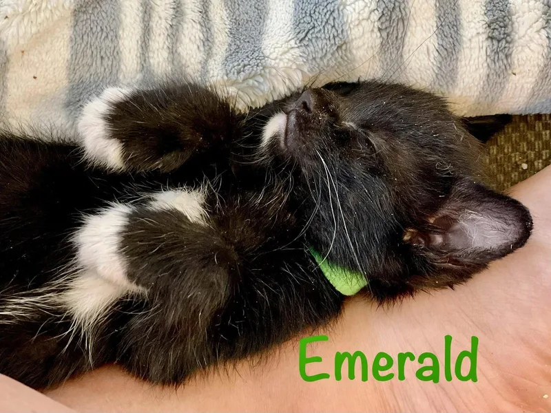 Emerald thumbnail 3
