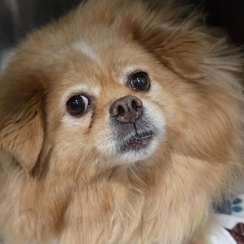 Peaches thumbnail 2