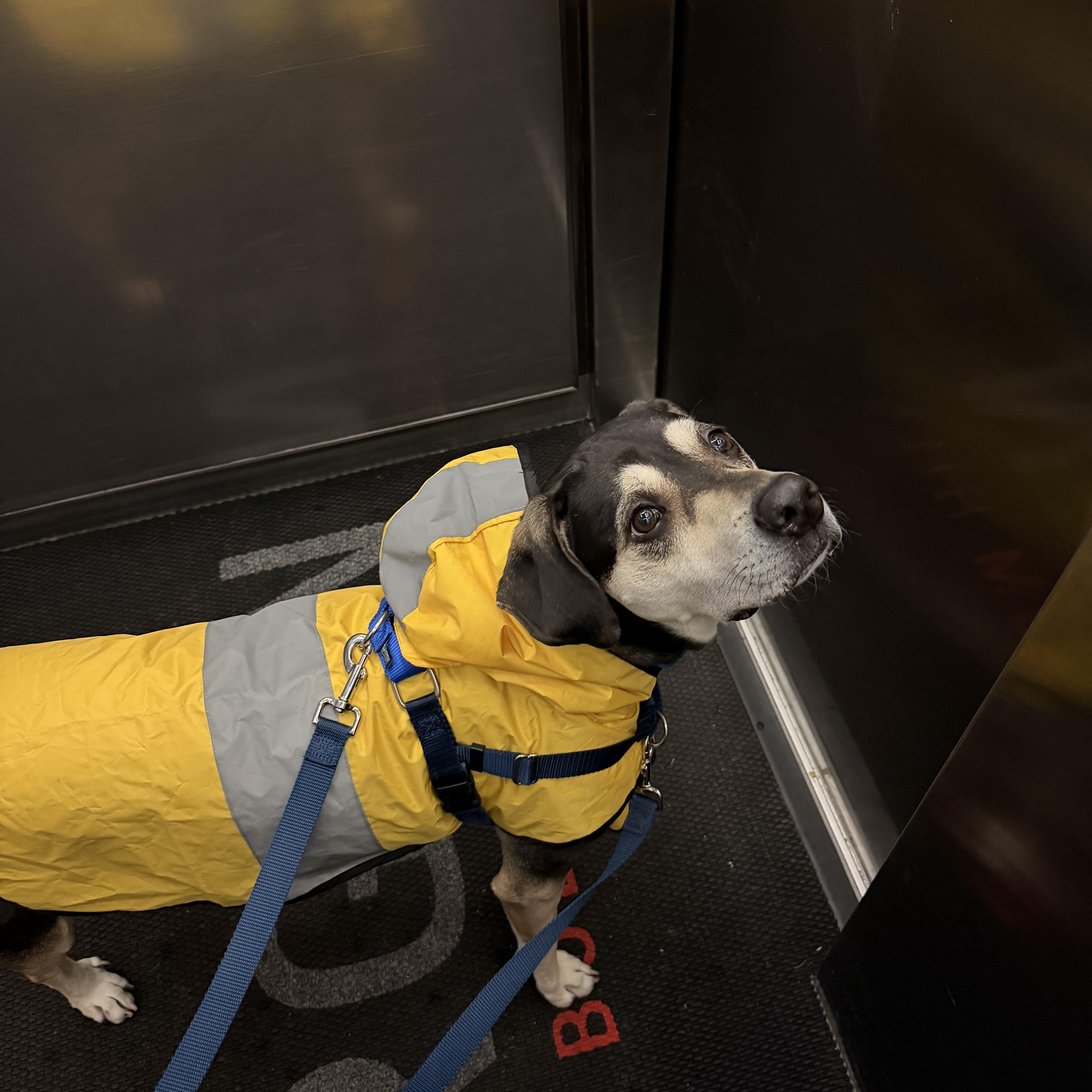 Gretchen thumbnail 2