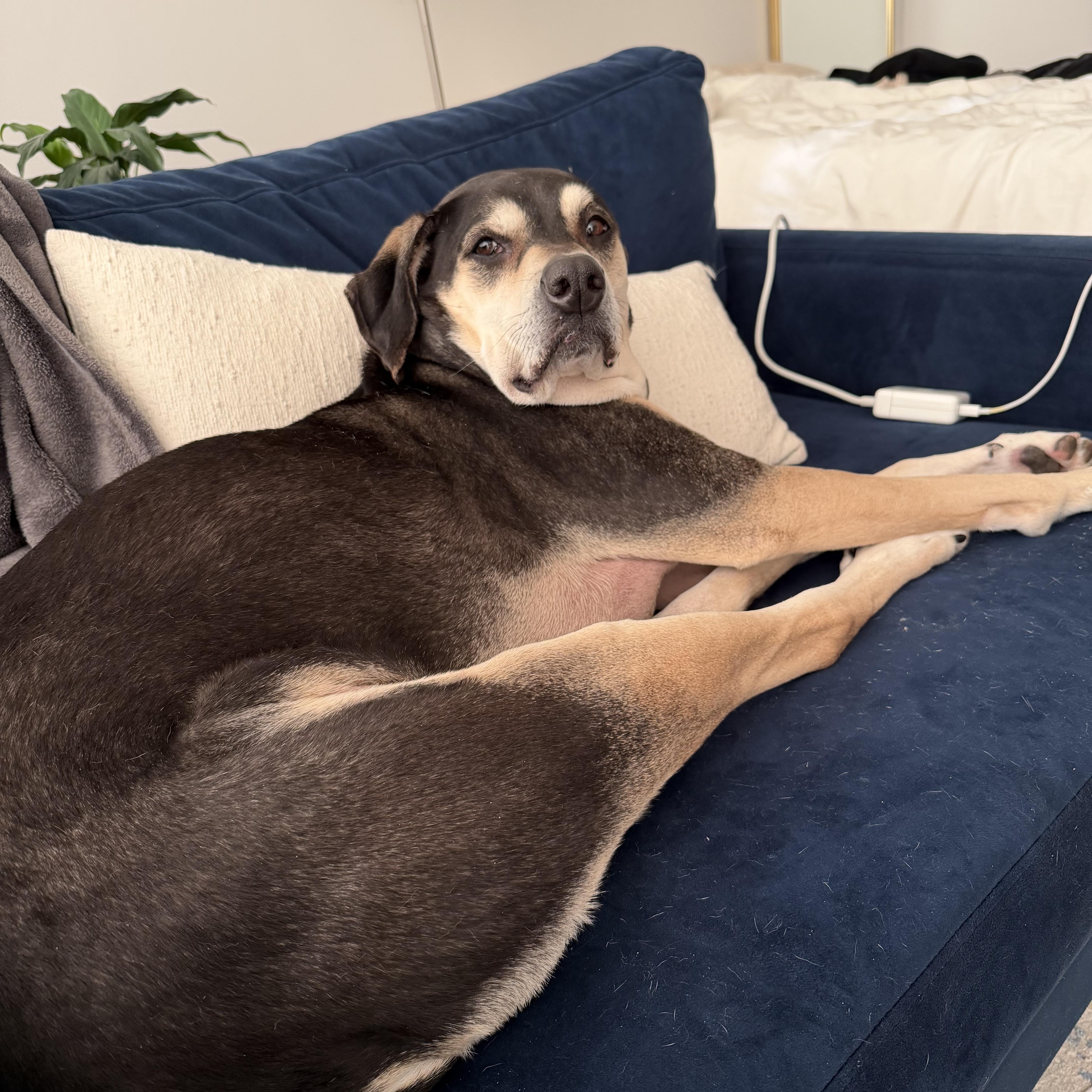 Gretchen thumbnail 3