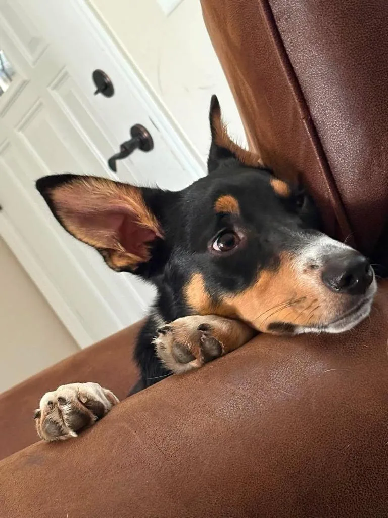 Leo