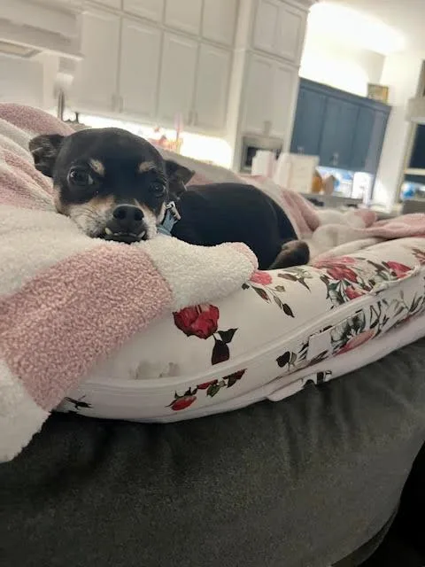 Gus