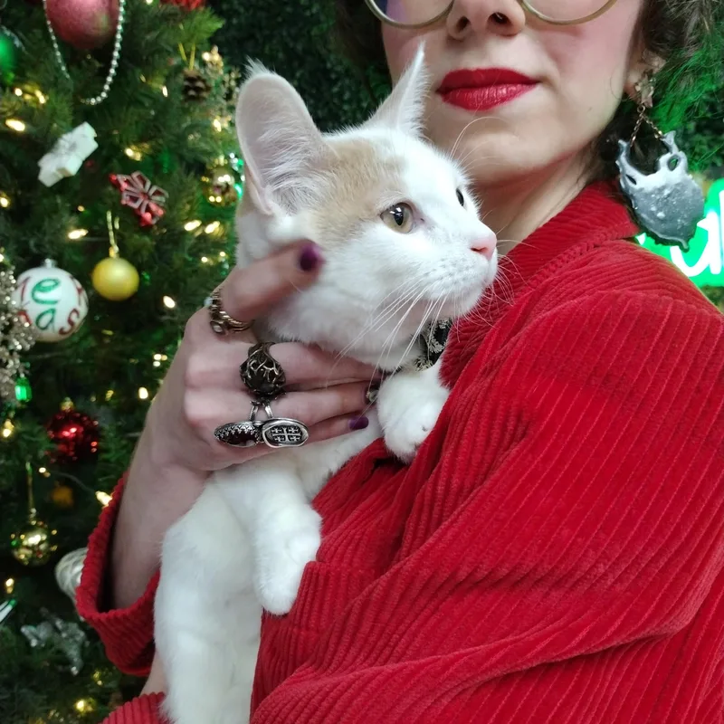 Mango Pumpkin Pie thumbnail 3