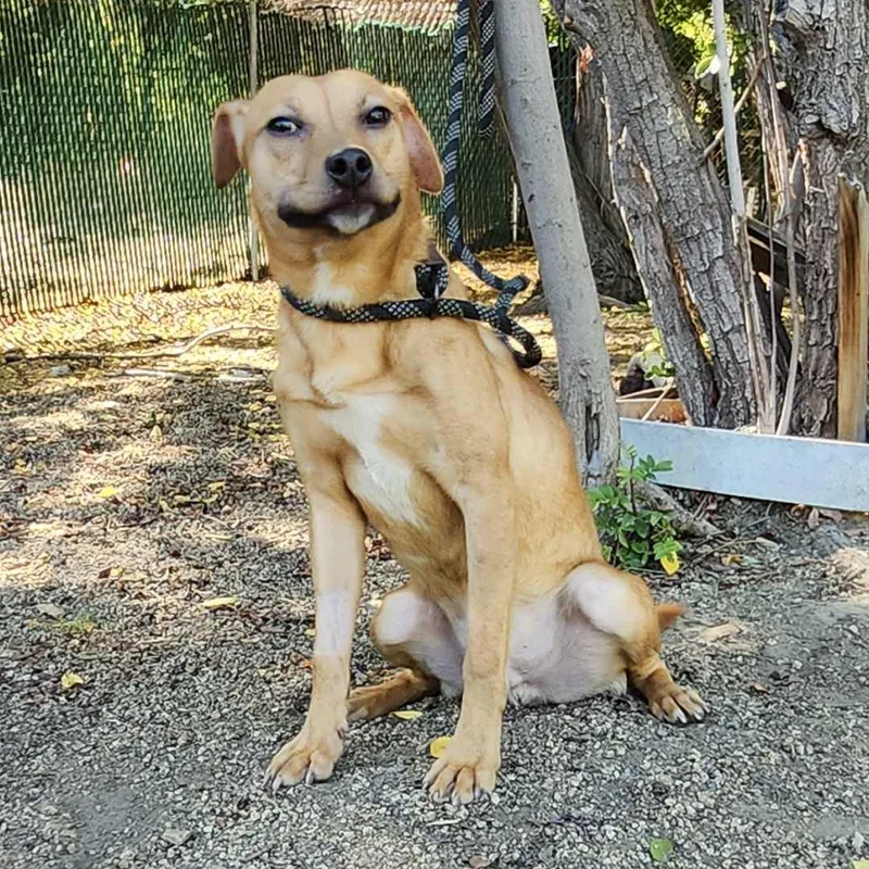 Lil Wayne thumbnail 2