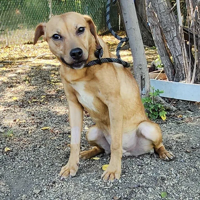 Lil Wayne thumbnail 3