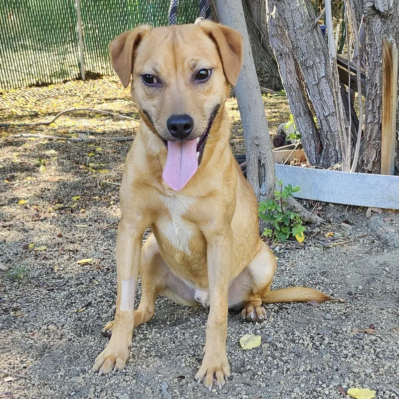 Lil Wayne thumbnail 4