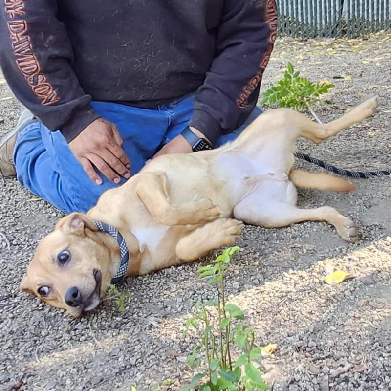 Lil Wayne thumbnail 5