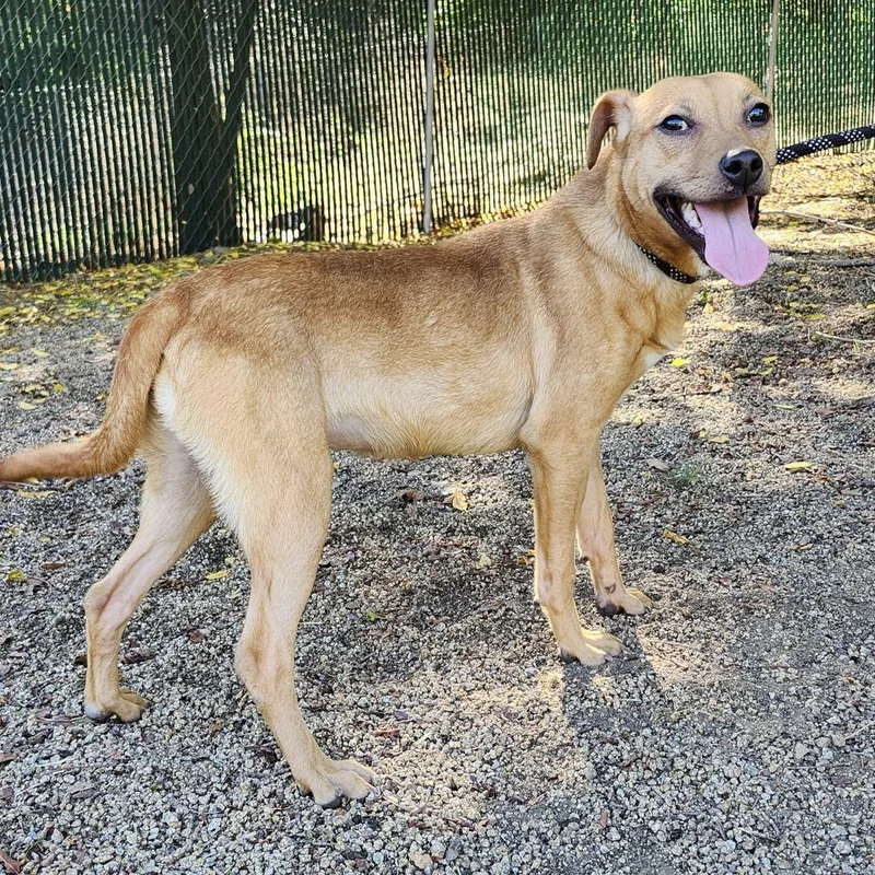 Lil Wayne thumbnail 6