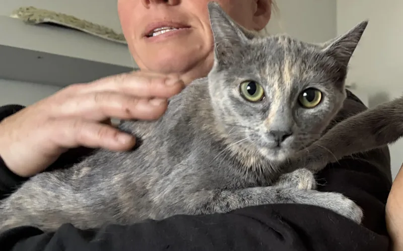 Joy And Shadow thumbnail 3