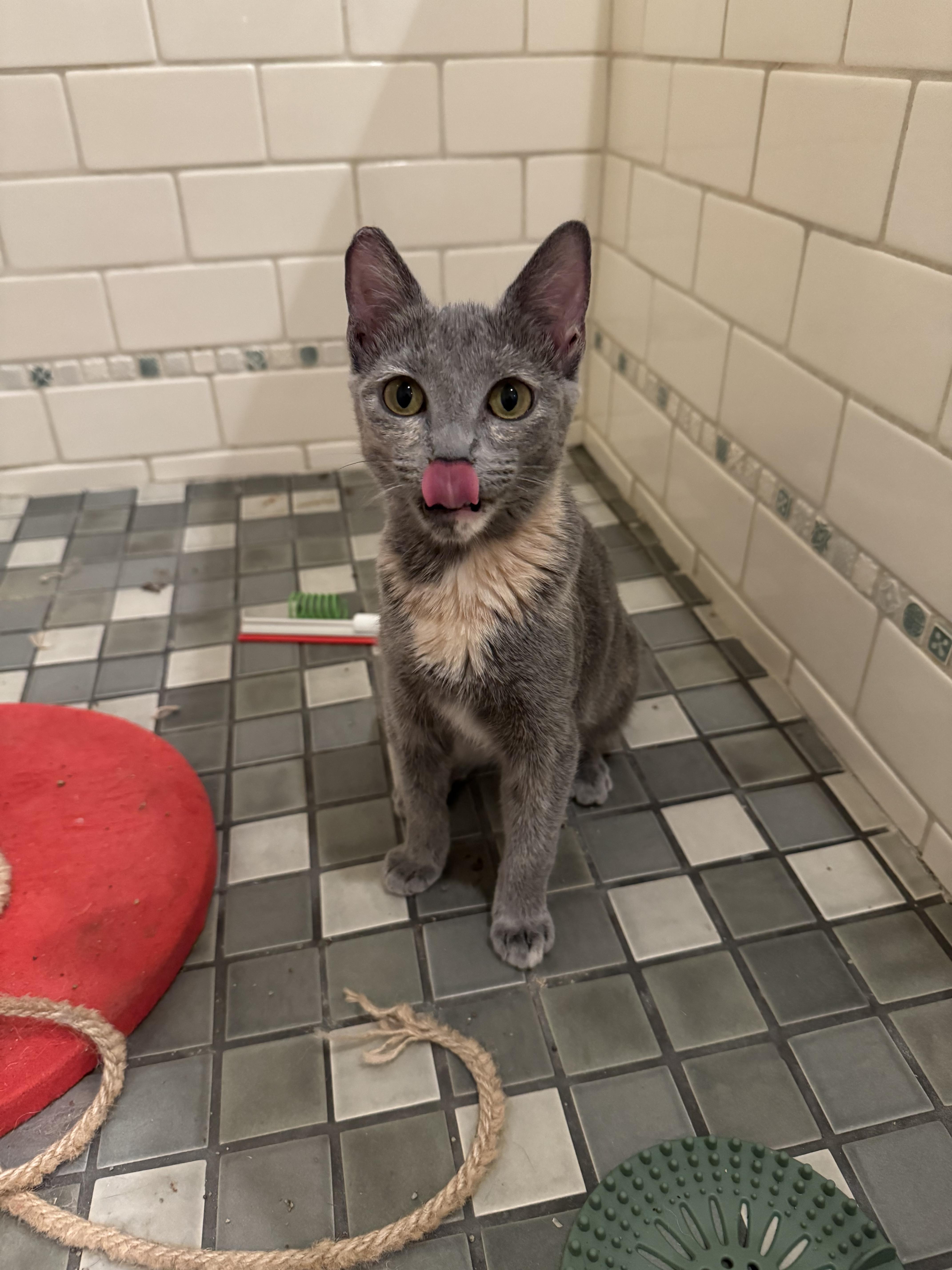 Joy And Shadow thumbnail 6