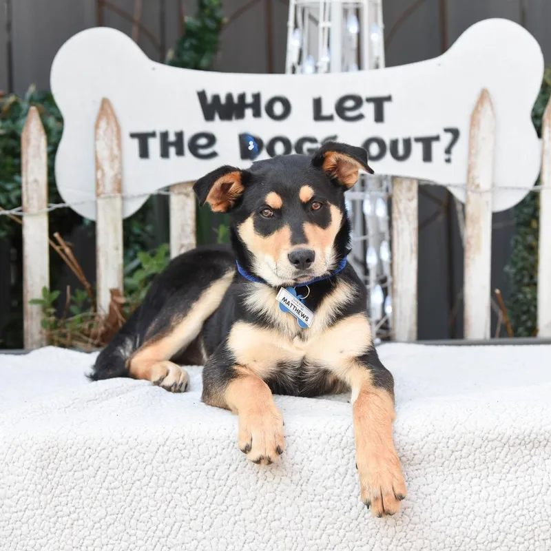 Matthews thumbnail 3