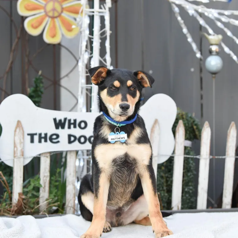 Matthews thumbnail 4