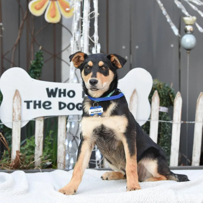 Matthews thumbnail 5