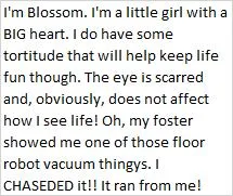 Blossom