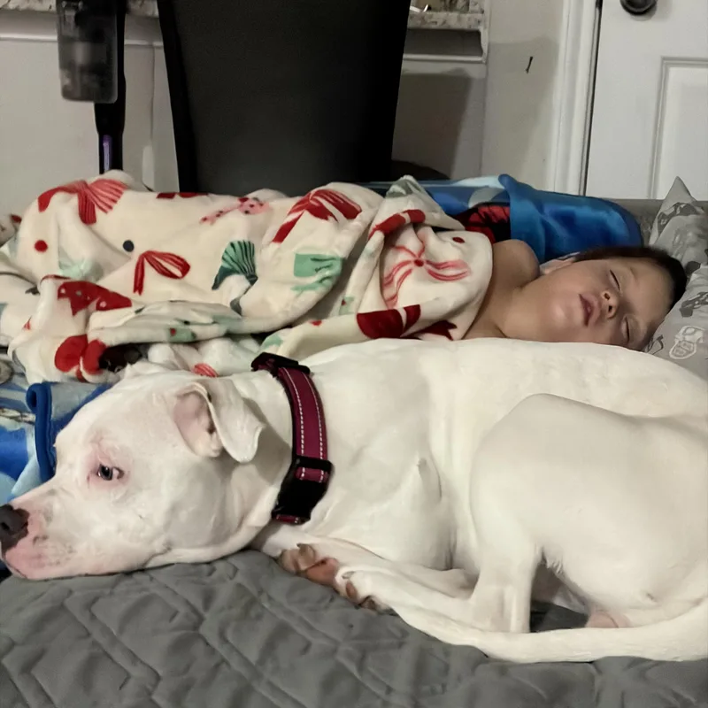 Maggie thumbnail 5