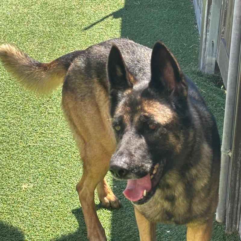 Taylor Sniff thumbnail 2