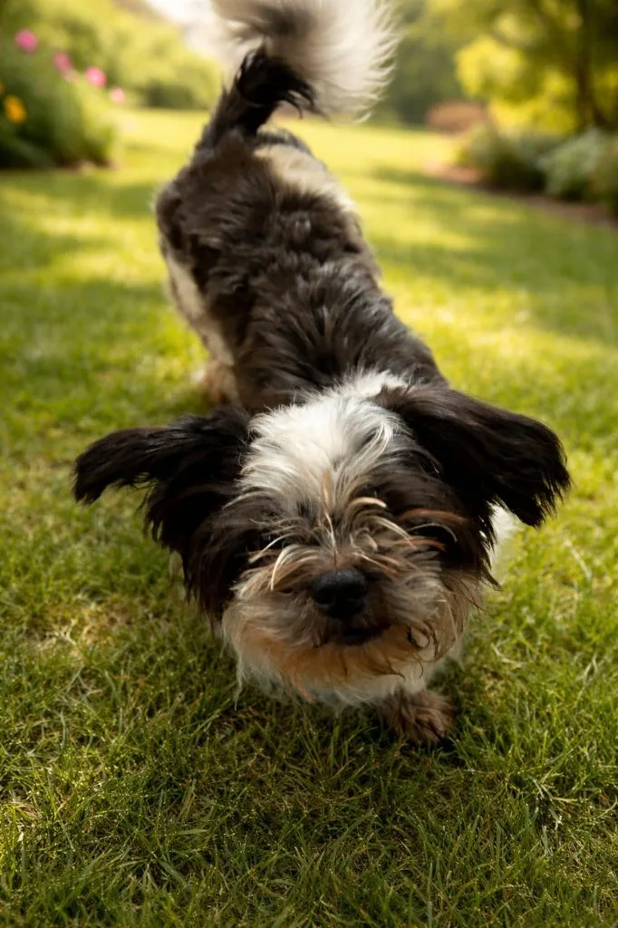 King Nathaniel Bartholomew