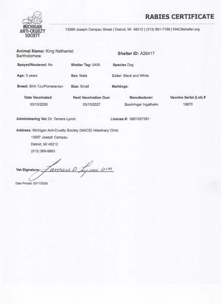 King Nathaniel Bartholomew thumbnail 2