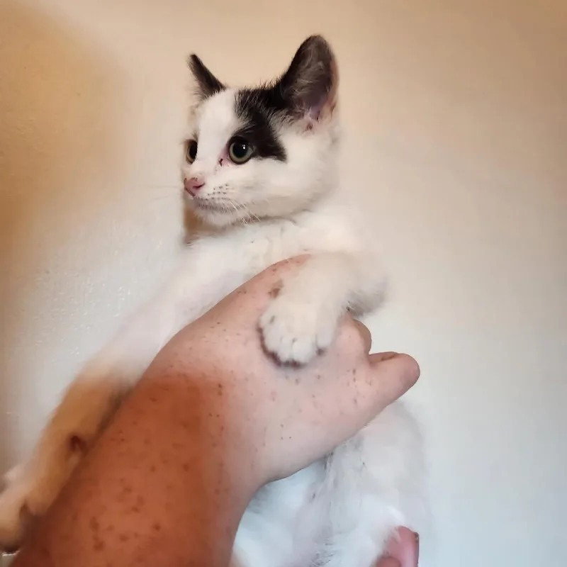 Eugene