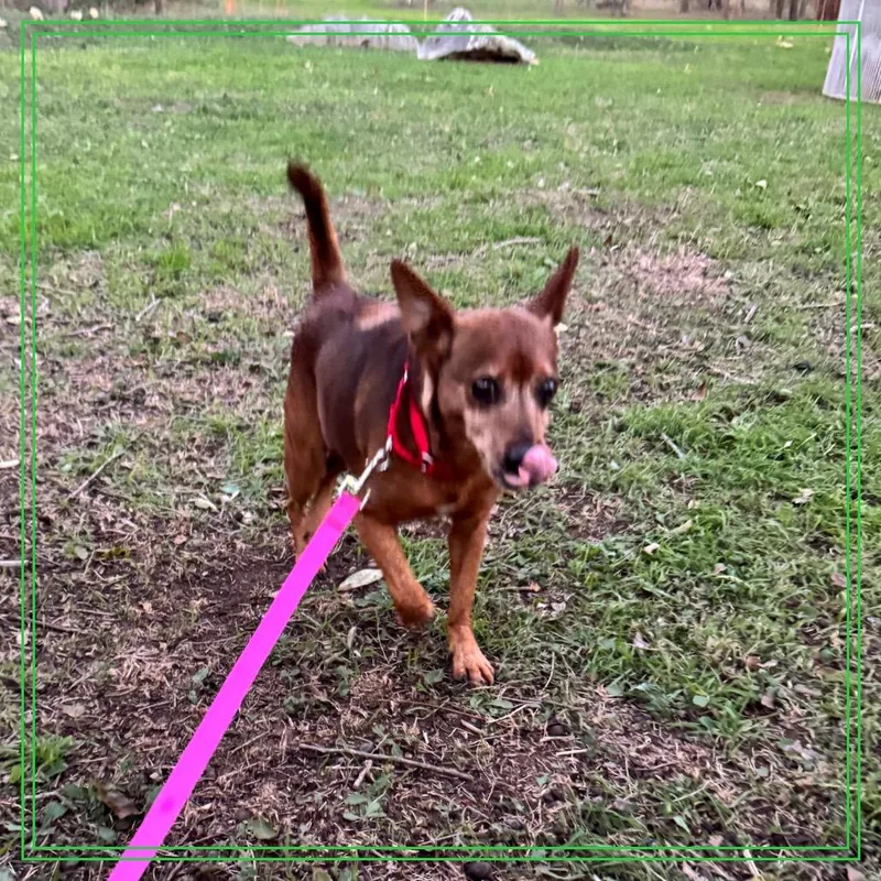 Smokey The Bear thumbnail 2