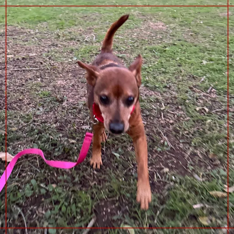 Smokey The Bear thumbnail 5